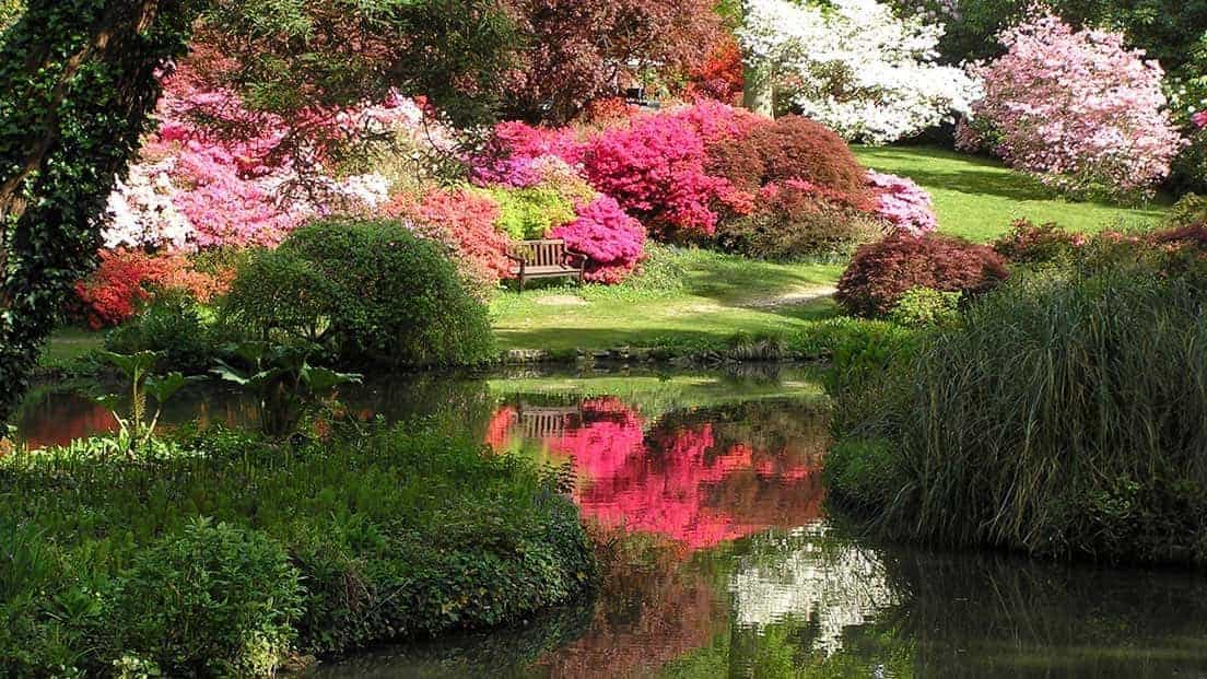 Exbury Gardens